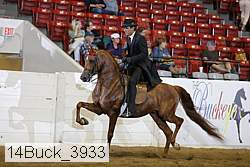 14buck_3933 proof