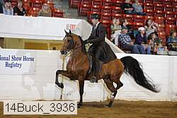 14buck_3936 proof