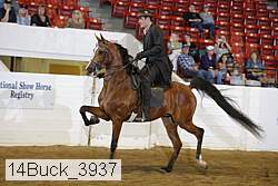 14buck_3937 proof