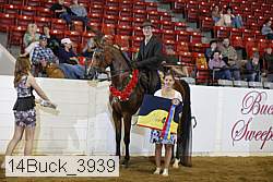 14buck_3939 proof