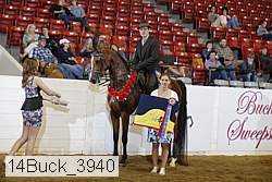 14buck_3940 proof