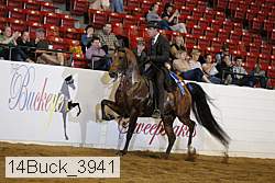 14buck_3941 proof