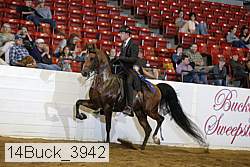 14buck_3942 proof
