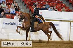 14buck_3945 proof