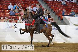 14buck_3948 proof