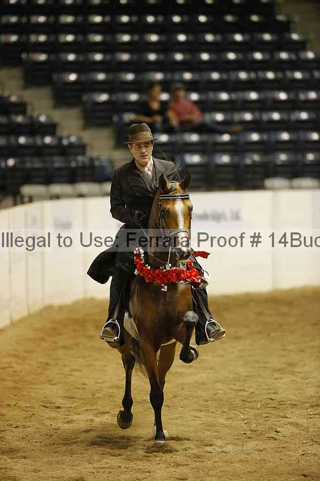 Proof 14buck_3950