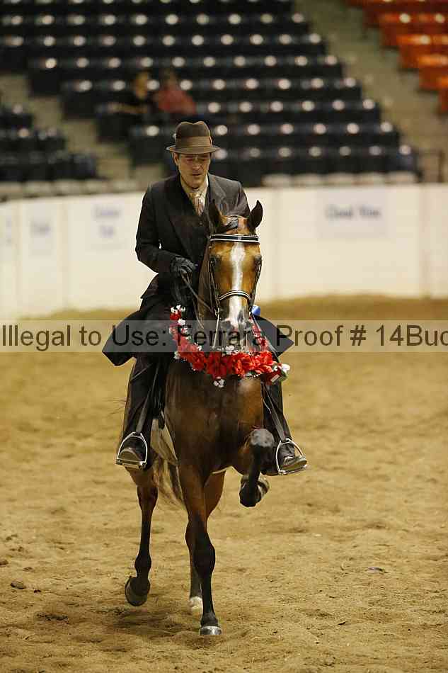 Proof 14buck_3951