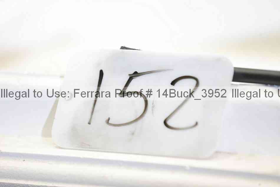 Proof 14buck_3952