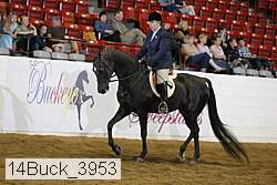 14buck_3953 proof