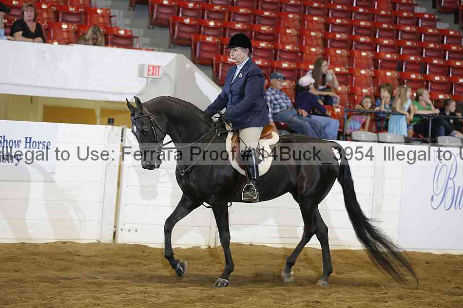 Proof 14buck_3954