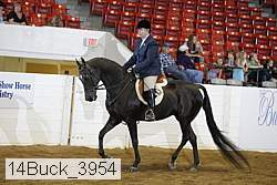 14buck_3954 proof