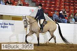 14buck_3955 proof