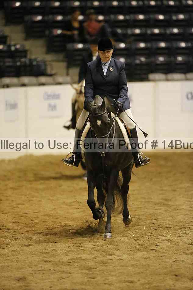 Proof 14buck_3956