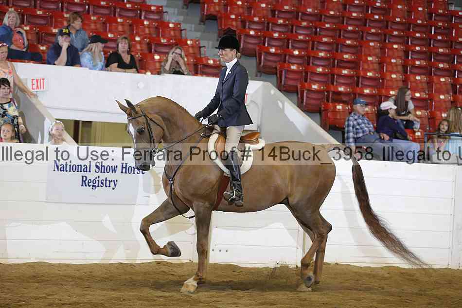 Proof 14buck_3958