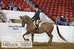 14buck_3958 proof