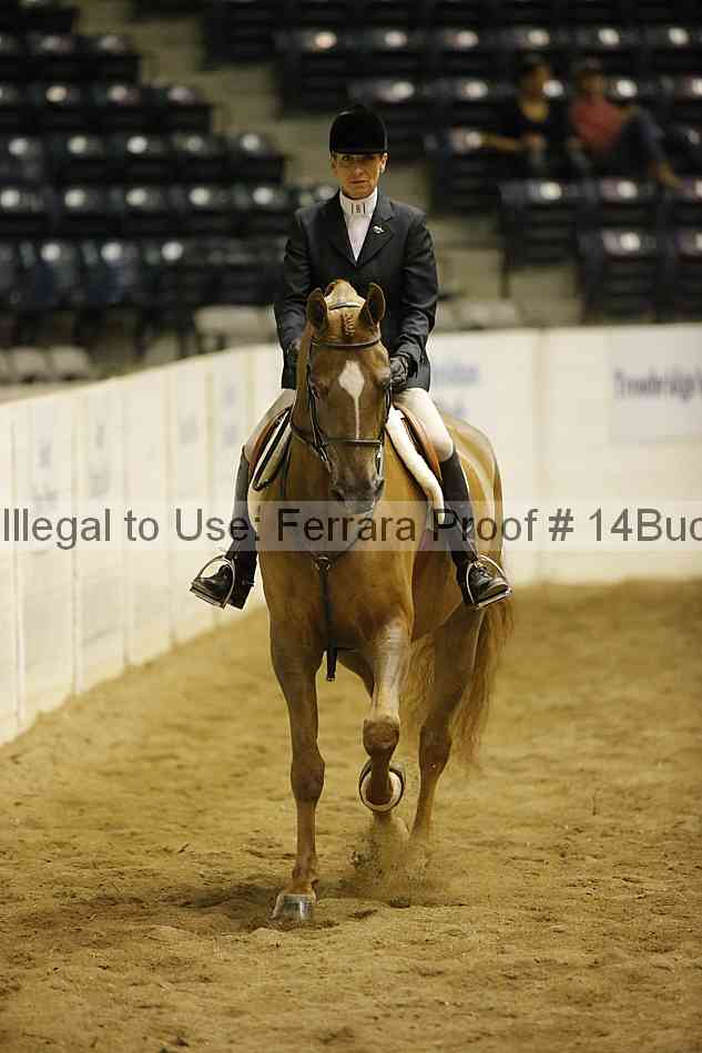 Proof 14buck_3959