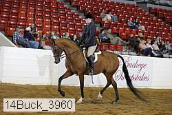 14buck_3960 proof