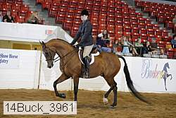 14buck_3961 proof