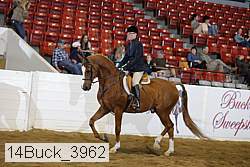 14buck_3962 proof