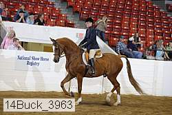 14buck_3963 proof