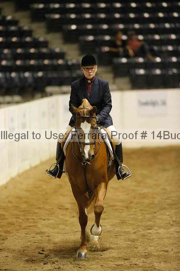Proof 14buck_3965
