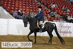 14buck_3966 proof