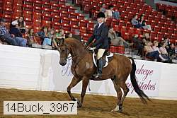 14buck_3967 proof