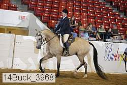 14buck_3968 proof
