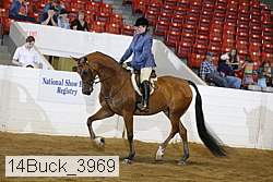 14buck_3969 proof