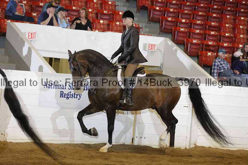 Proof 14buck_3970