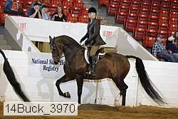 14buck_3970 proof