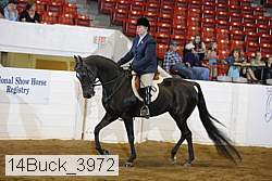 14buck_3972 proof