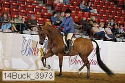 14buck_3973 proof