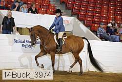 14buck_3974 proof