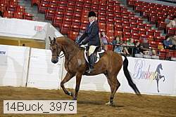 14buck_3975 proof