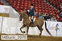 14buck_3976 proof