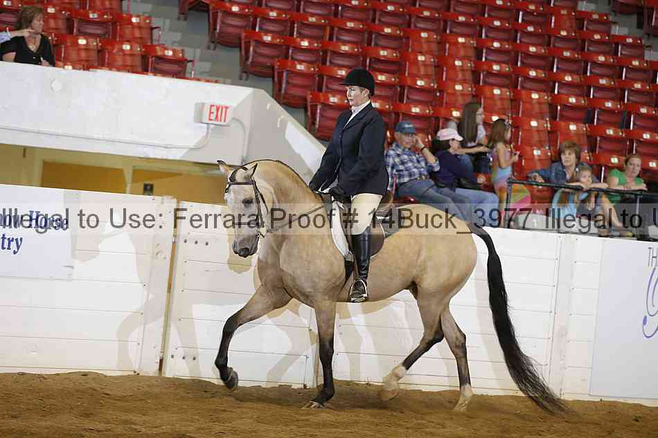 Proof 14buck_3977