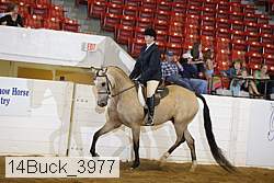 14buck_3977 proof
