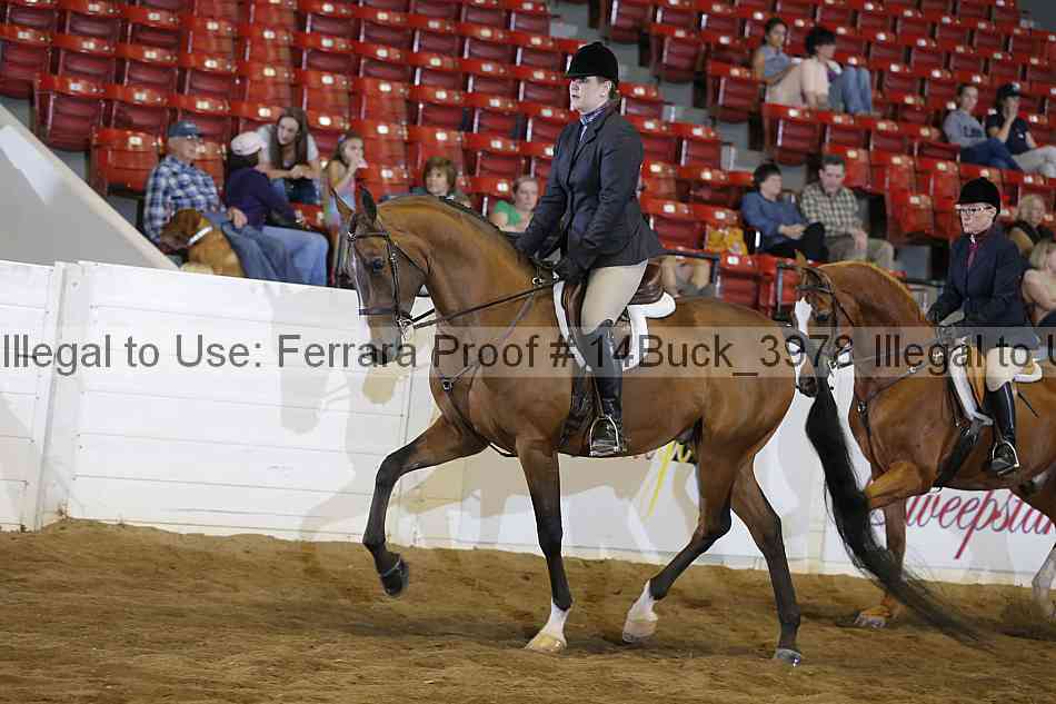 Proof 14buck_3978