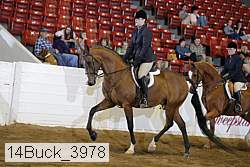 14buck_3978 proof
