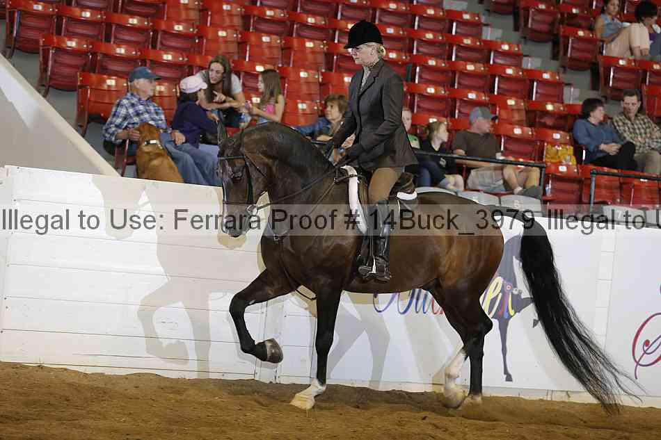Proof 14buck_3979
