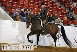 14buck_3979 proof