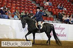 14buck_3980 proof