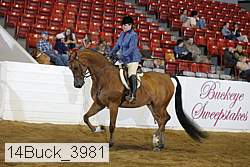 14buck_3981 proof