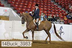 14buck_3983 proof