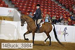 14buck_3984 proof
