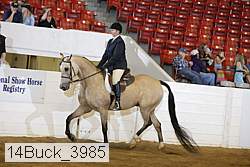 14buck_3985 proof