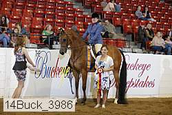 14buck_3986 proof