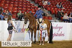14buck_3987 proof