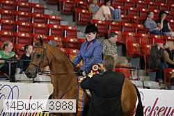 14buck_3988 proof